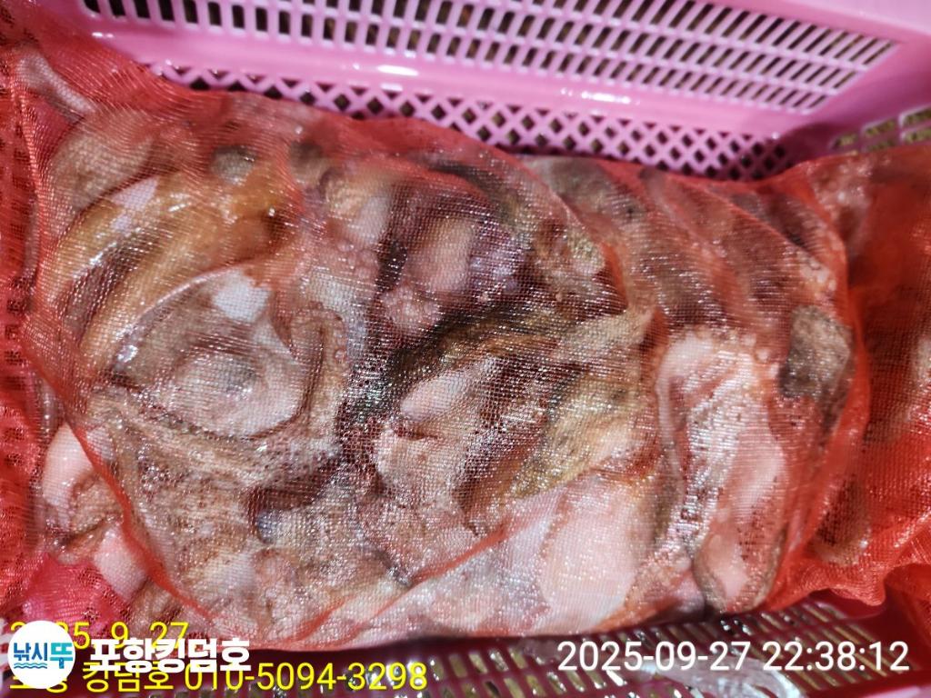 F278536605.jpg