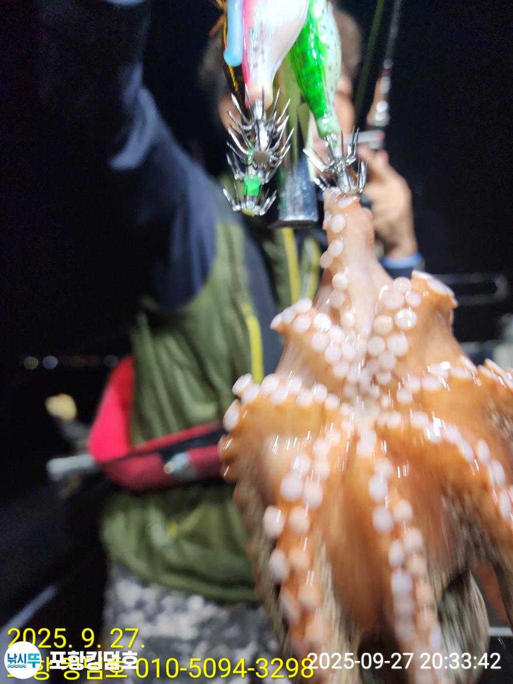F27853718S.jpg