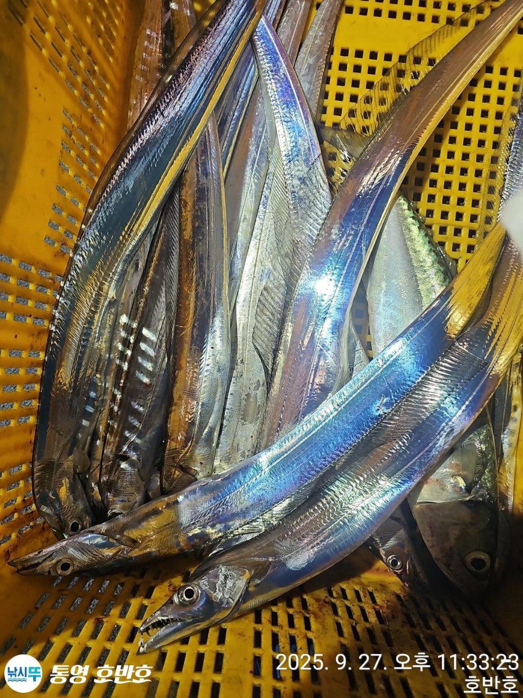 F2785632W5.jpg