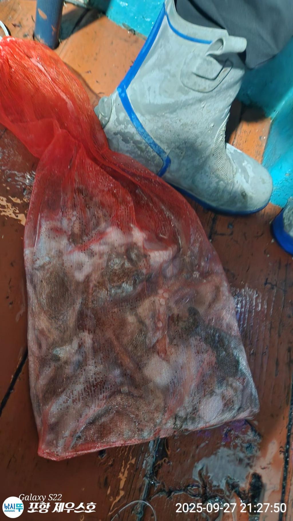 F27857259O.jpg