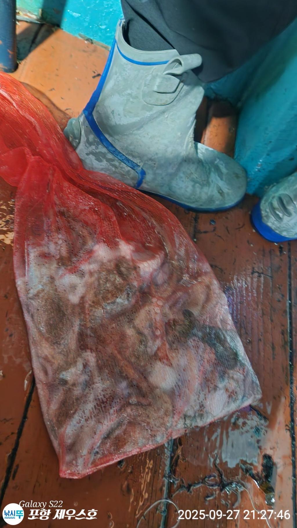 F278573953.jpg