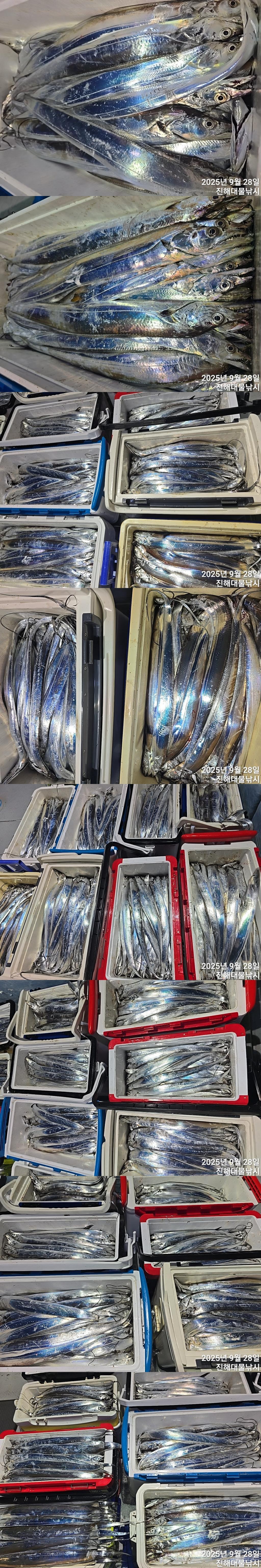 F278587895.jpg
