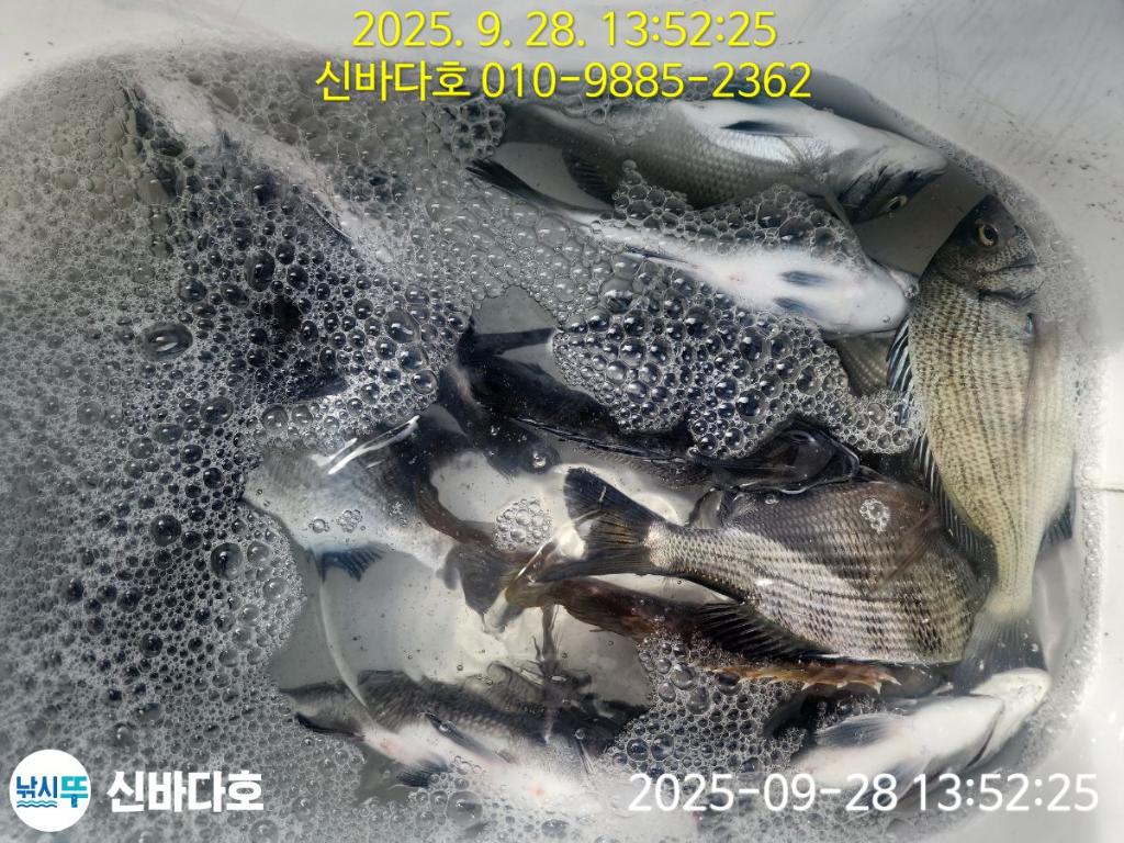 F2785946IF.jpg