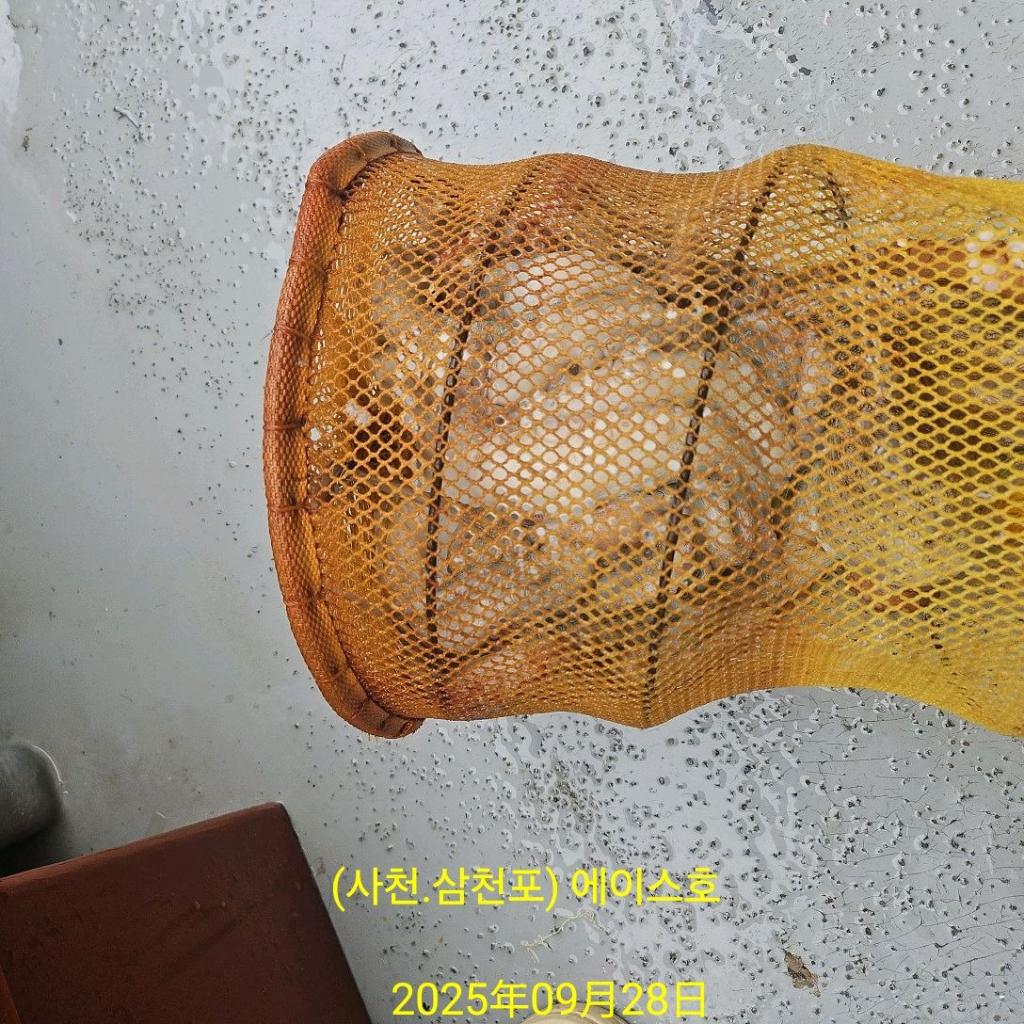 F2785959KS.jpg