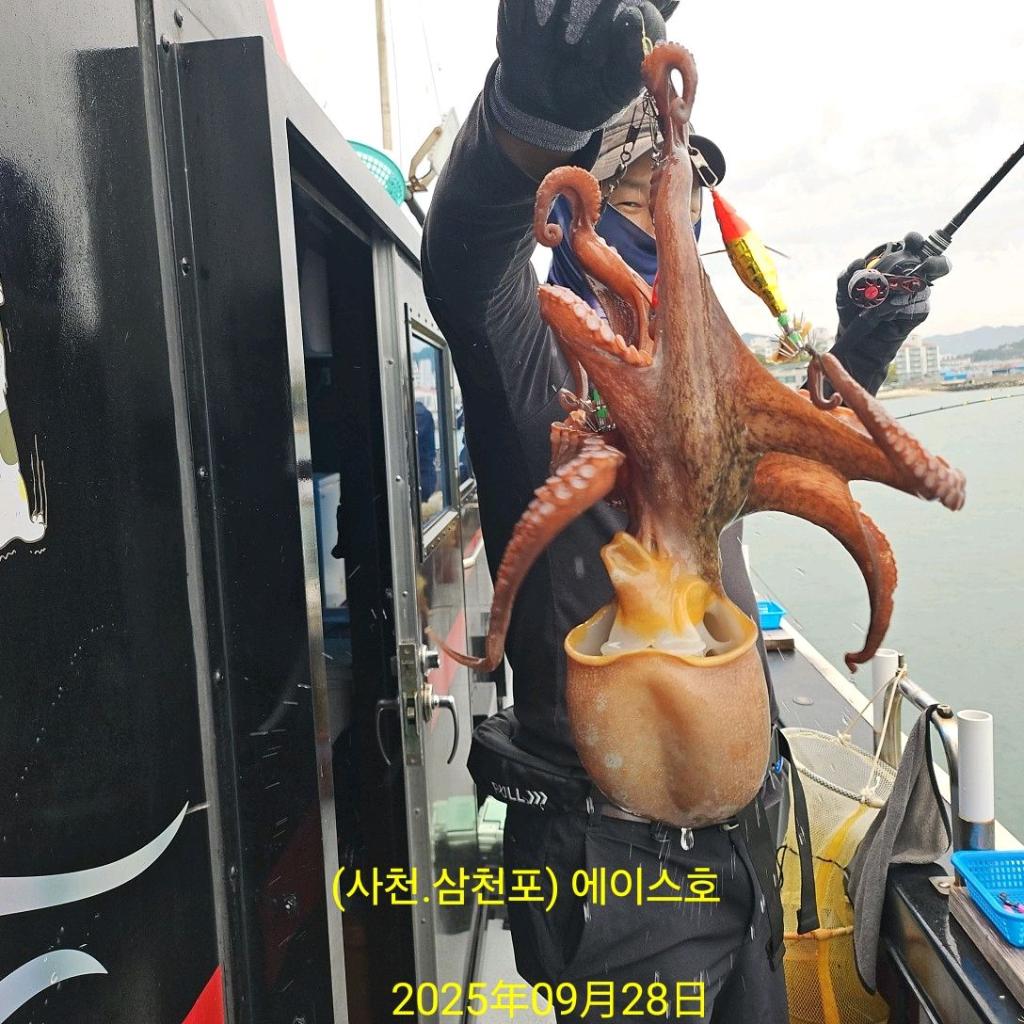 F2785976KN.jpg