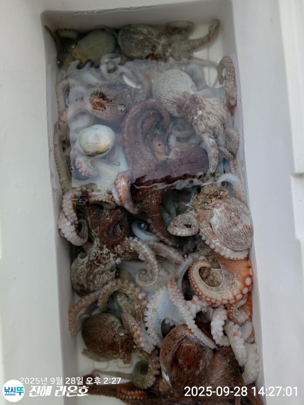F2786085P8.jpg
