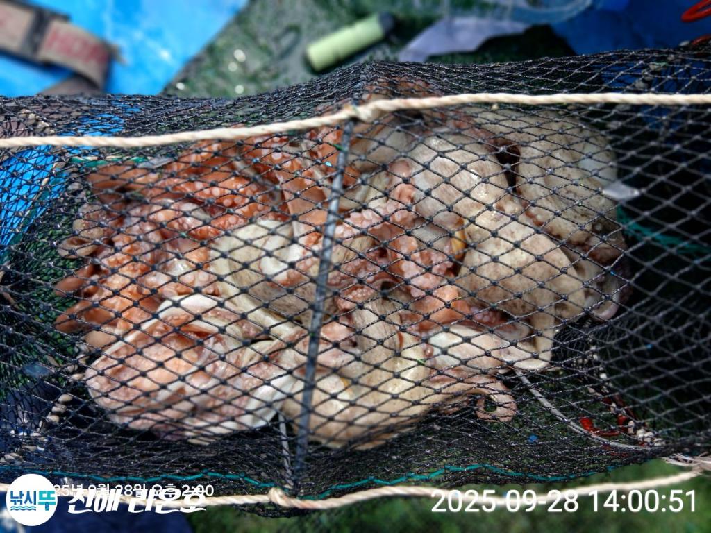 F2786086YA.jpg