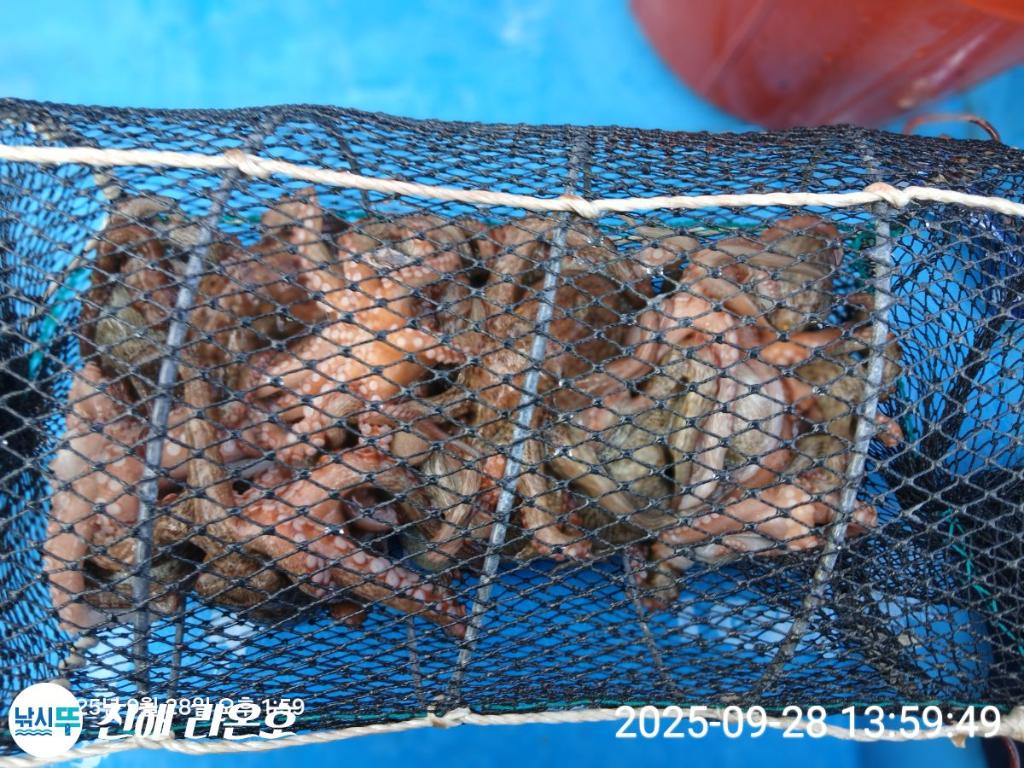 F2786088QH.jpg