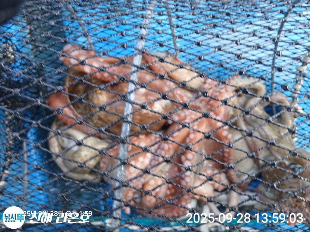 F2786090F5.jpg