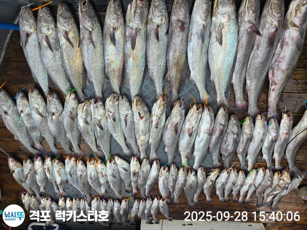 F2786117YU.jpg