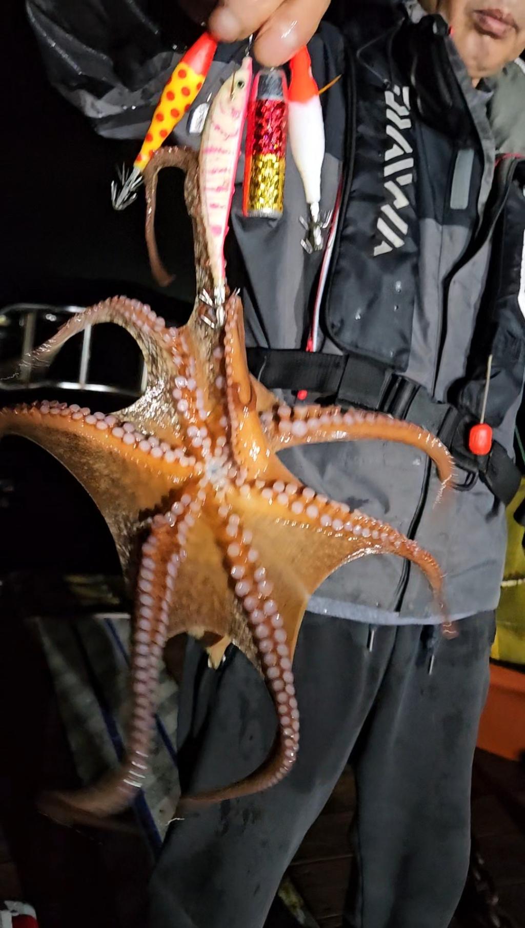 F2786159MV.jpg