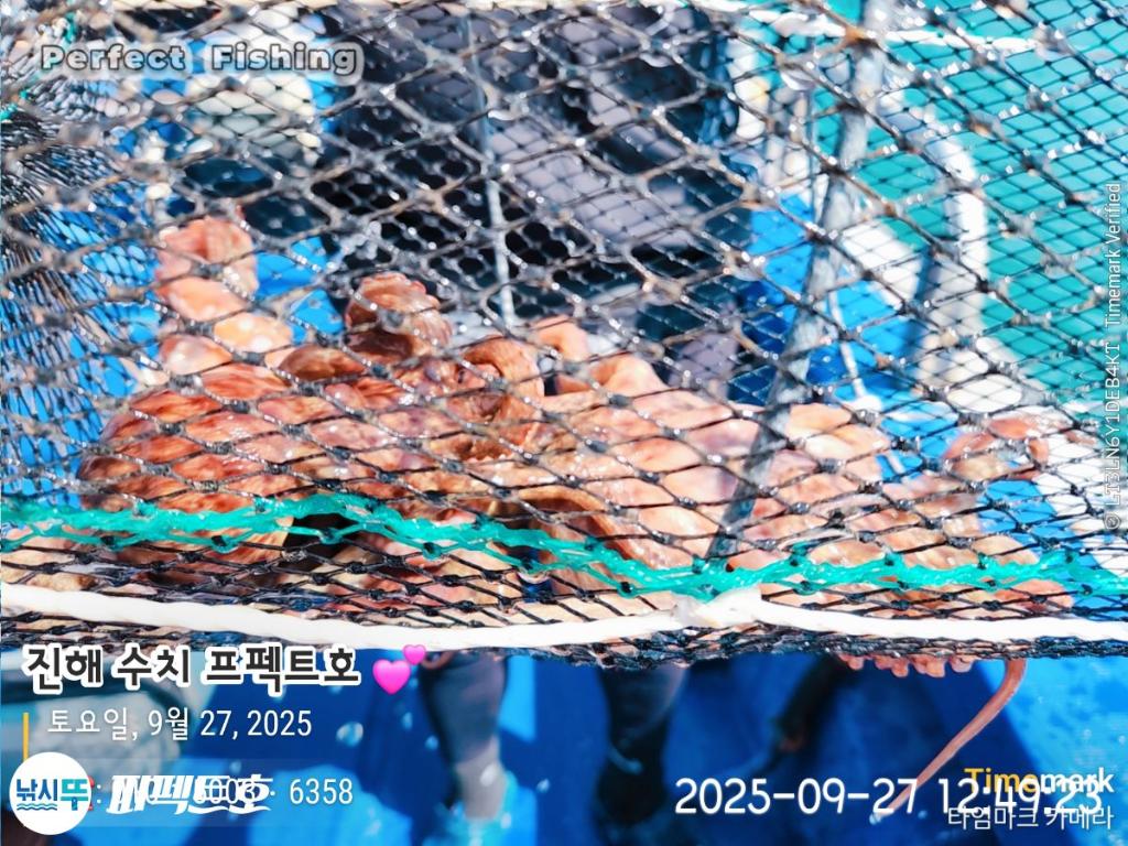 F2785312UO.jpg