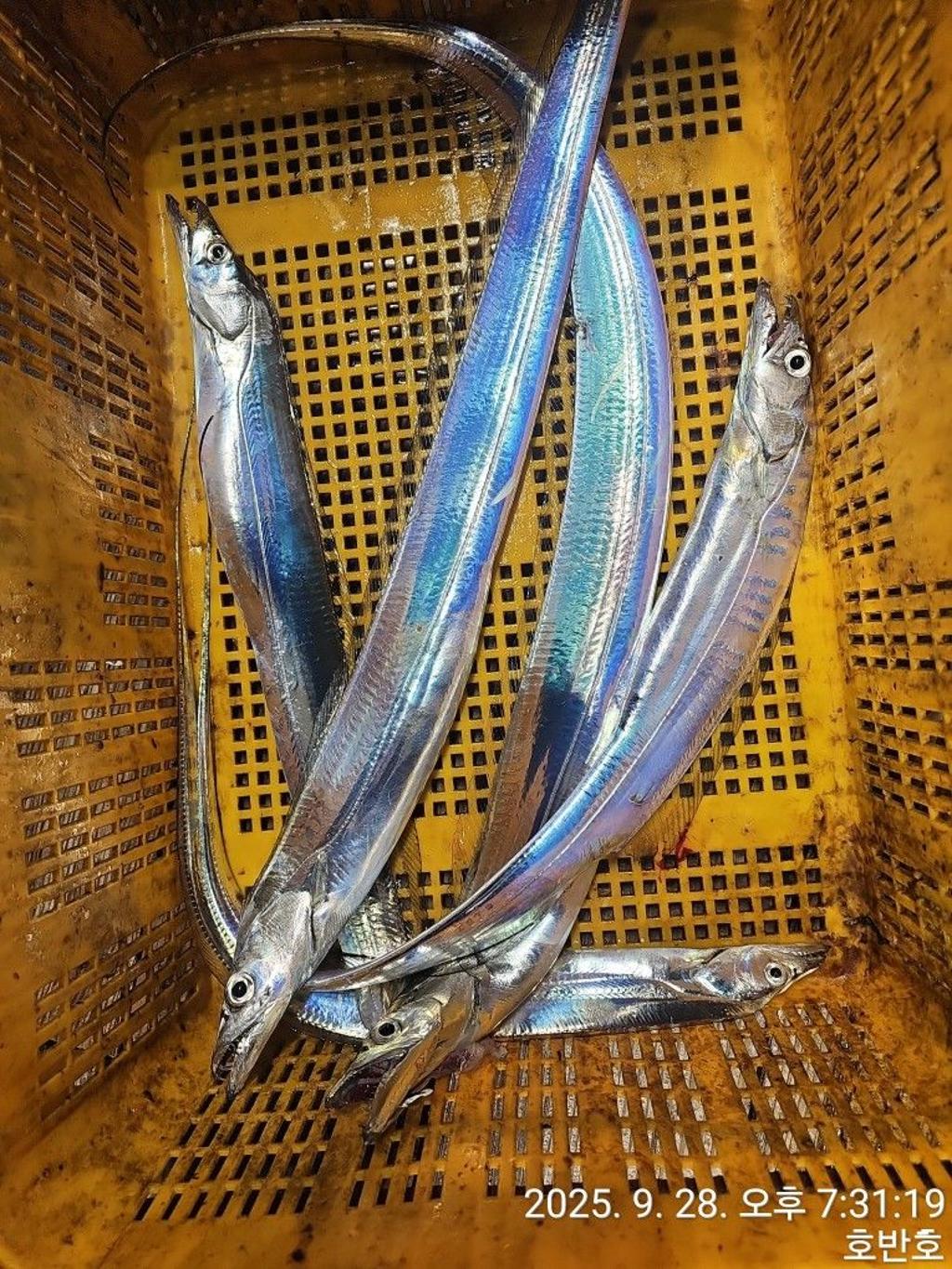 F278648817.jpg