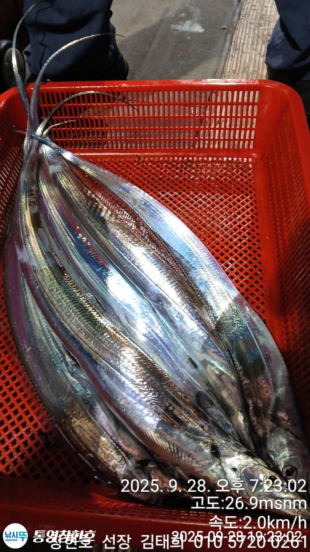 F2786504ER.jpg