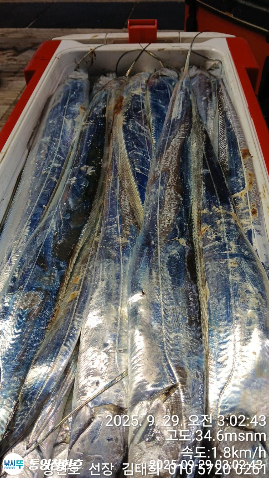 F2786516G6.jpg