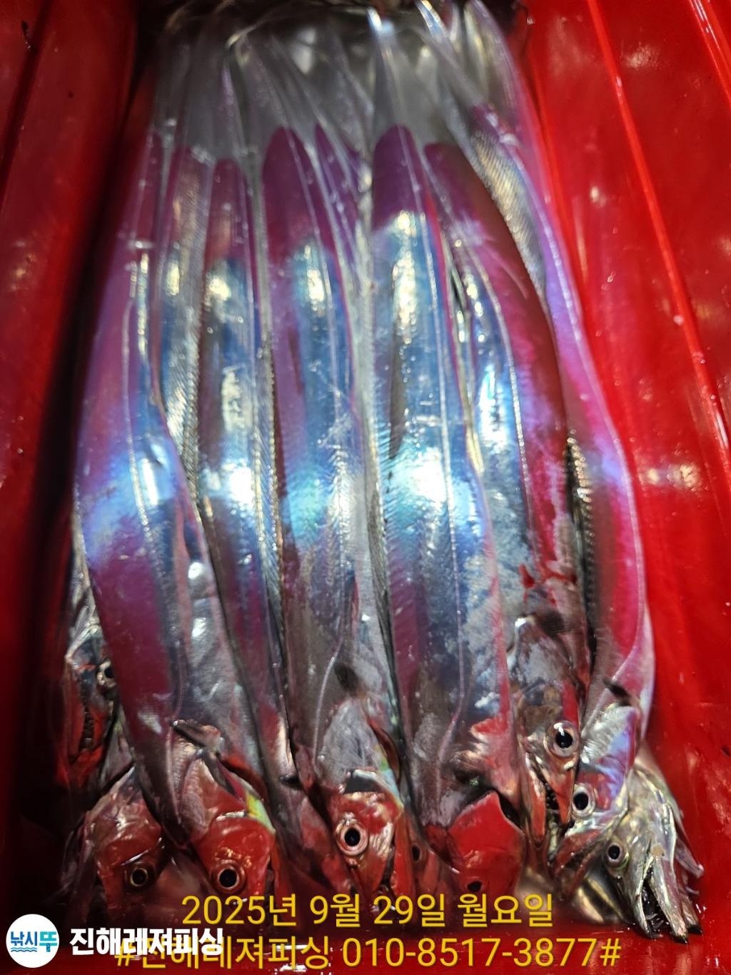 F2786565L0.jpg