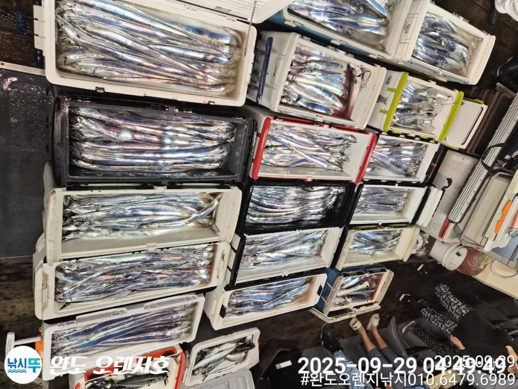 F2786729EG.jpg