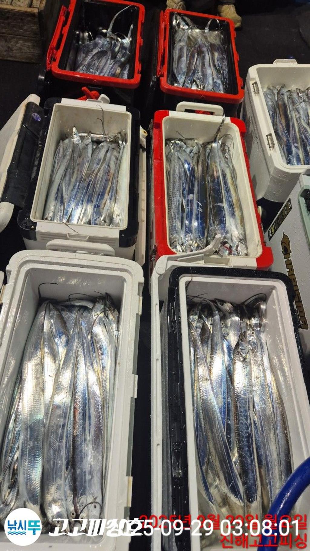 F2786741IH.jpg