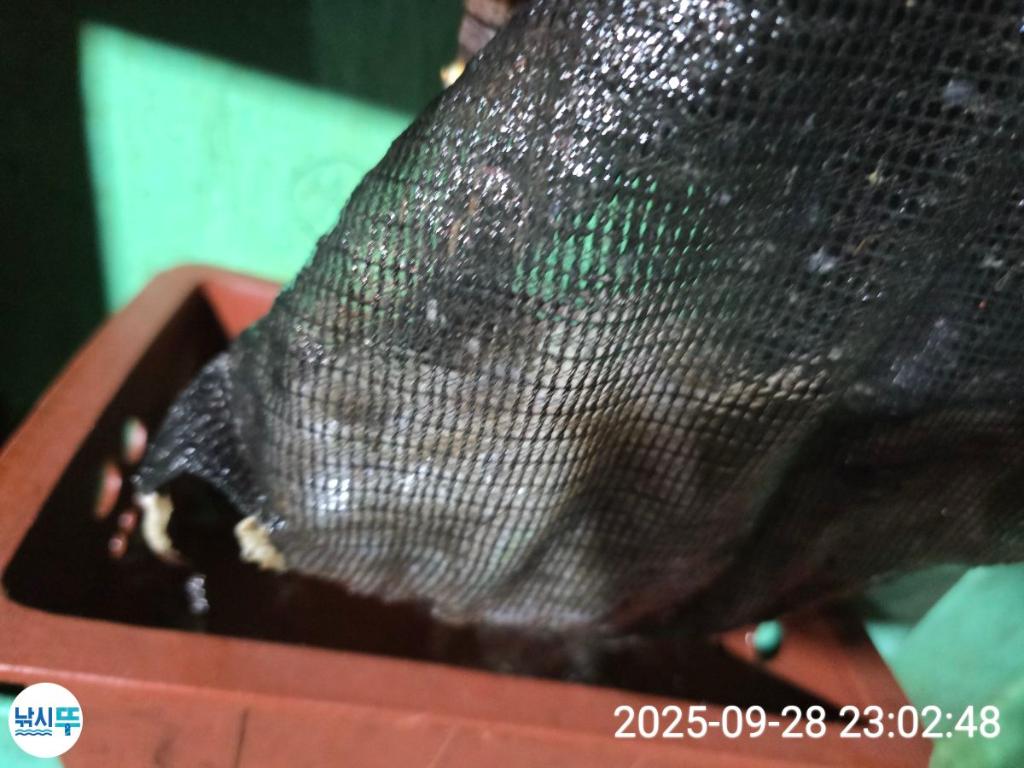 F2786773DD.jpg