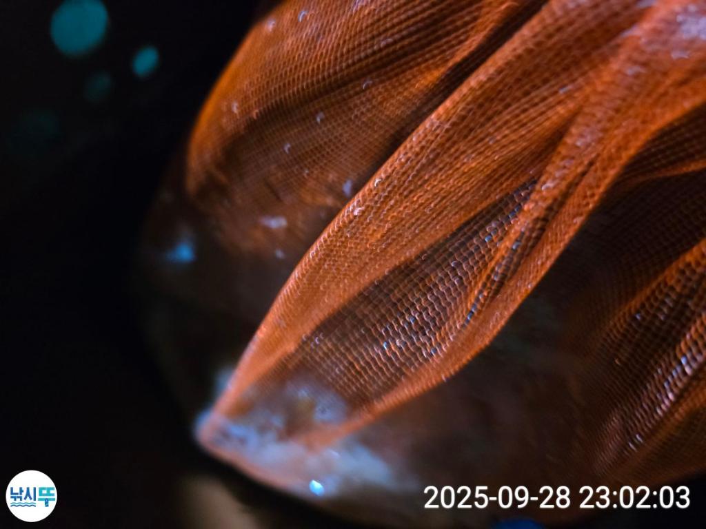 F2786775O3.jpg