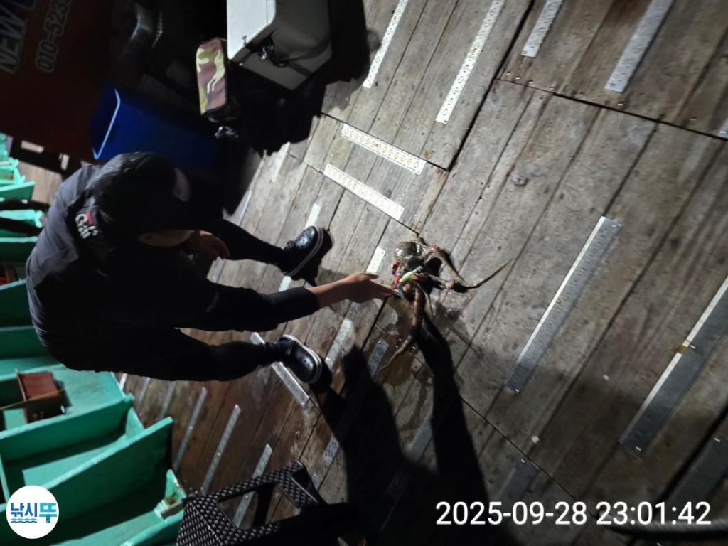 F2786778H7.jpg