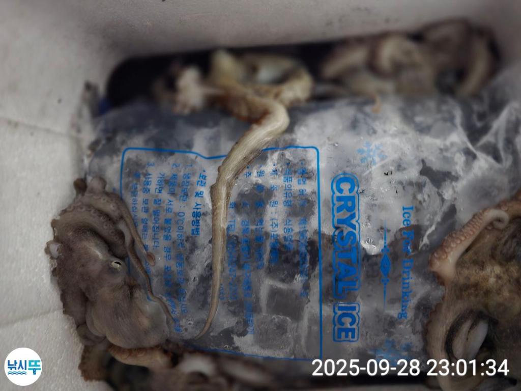 F27867801R.jpg