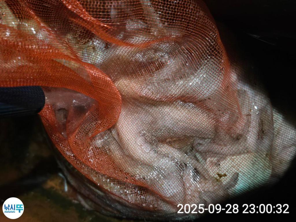 F2786783MU.jpg