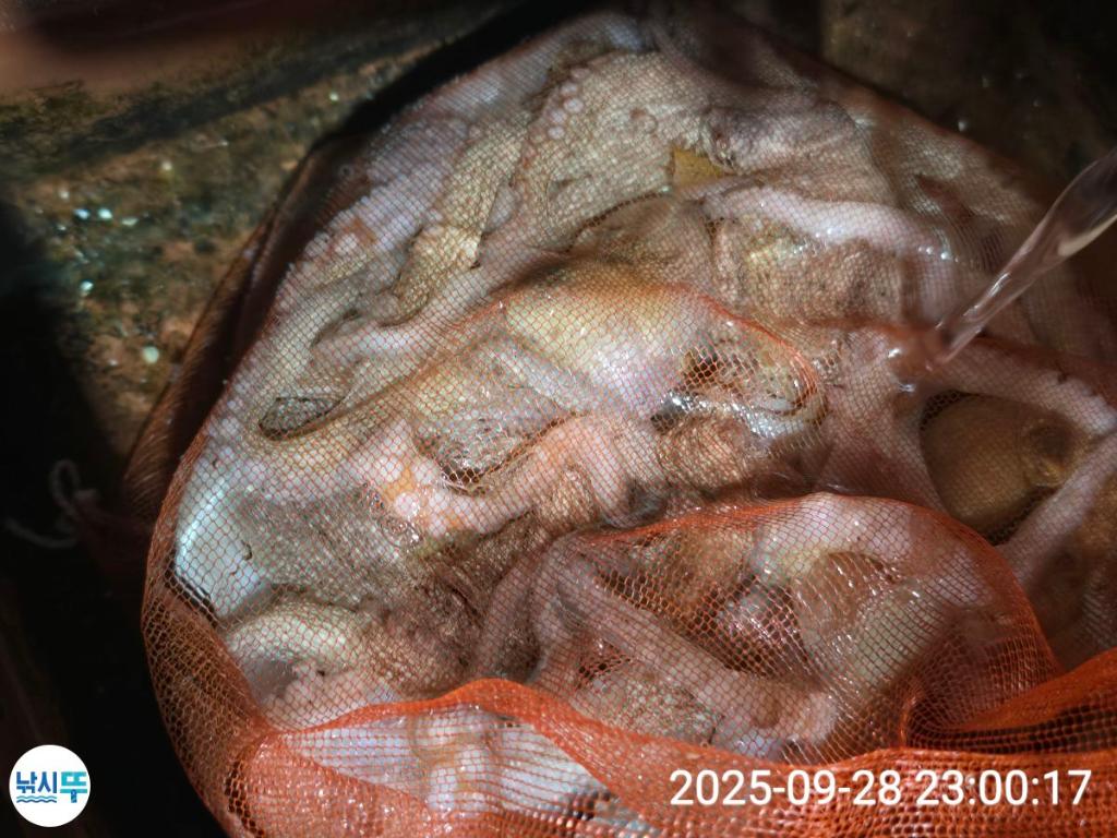 F2786785J5.jpg