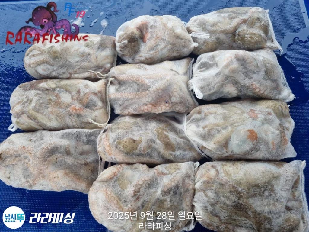 F2786989UD.jpg
