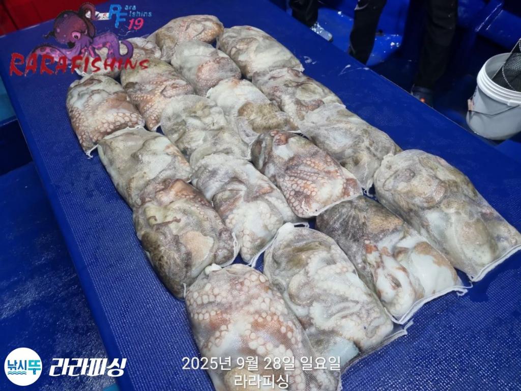 F278699238.jpg