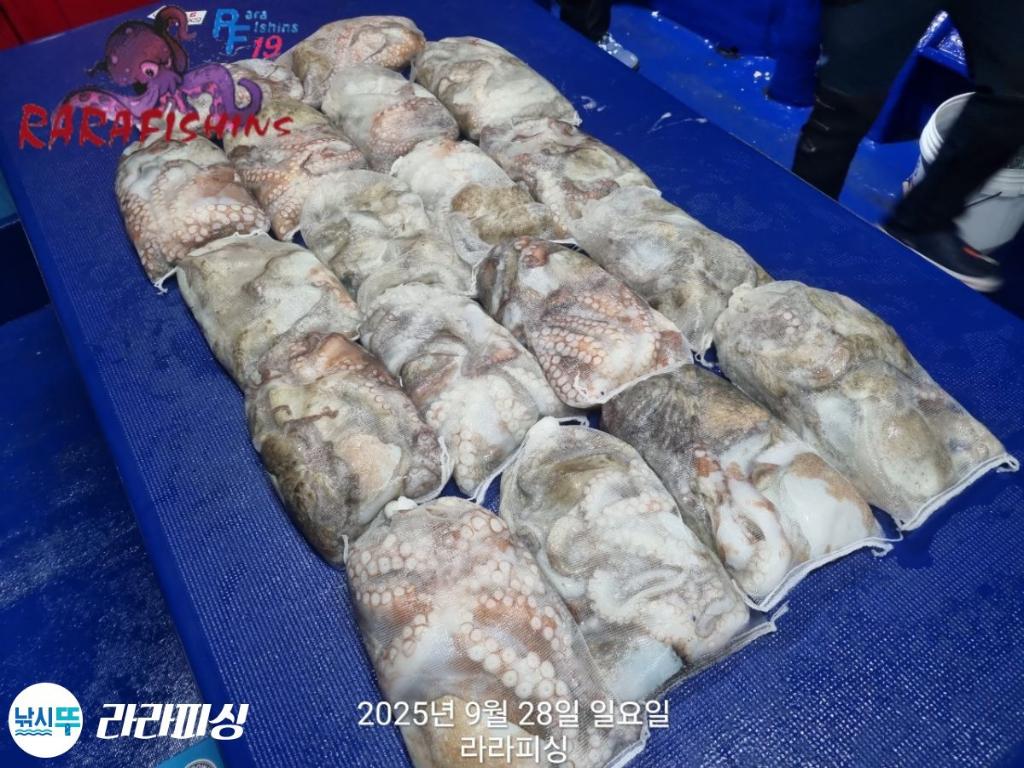 F2786993RY.jpg