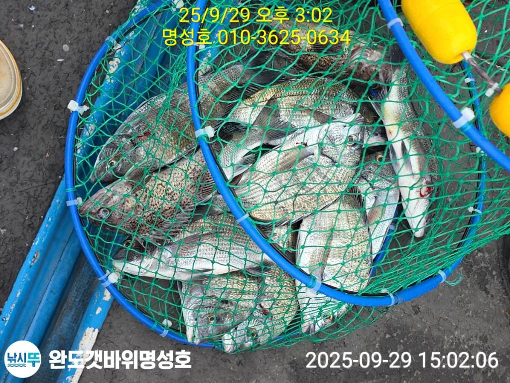 F27870404B.jpg