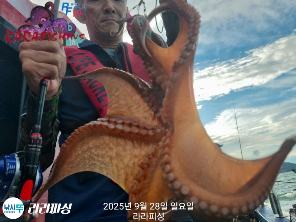 F2787115V7.jpg