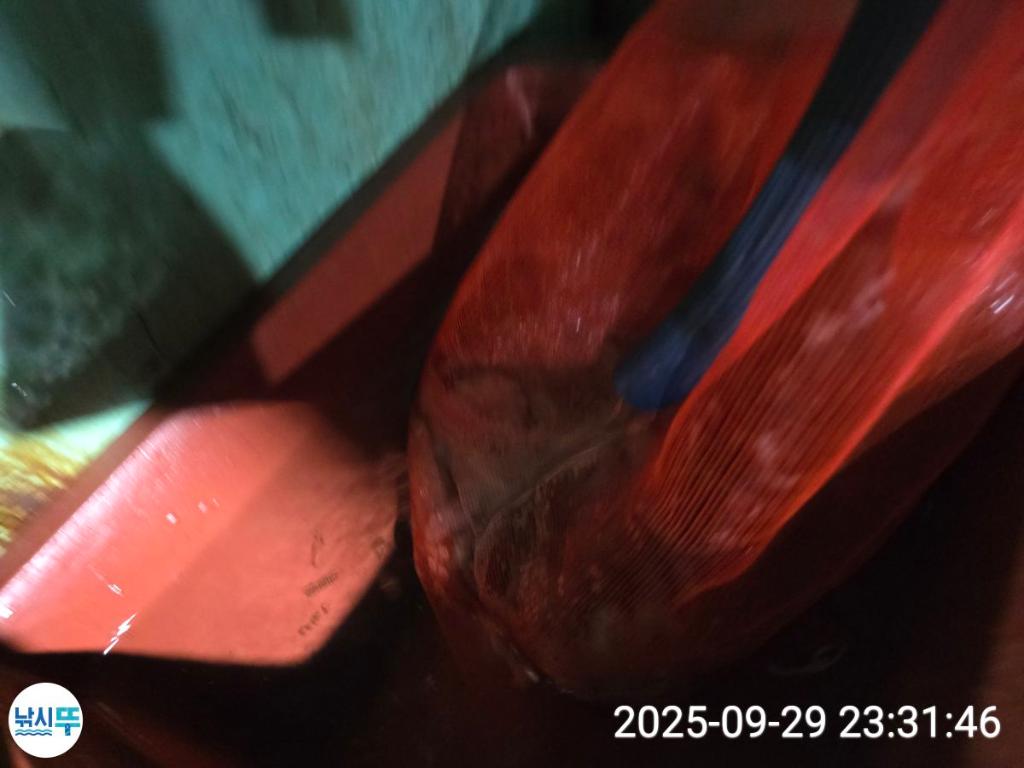 F27871699M.jpg