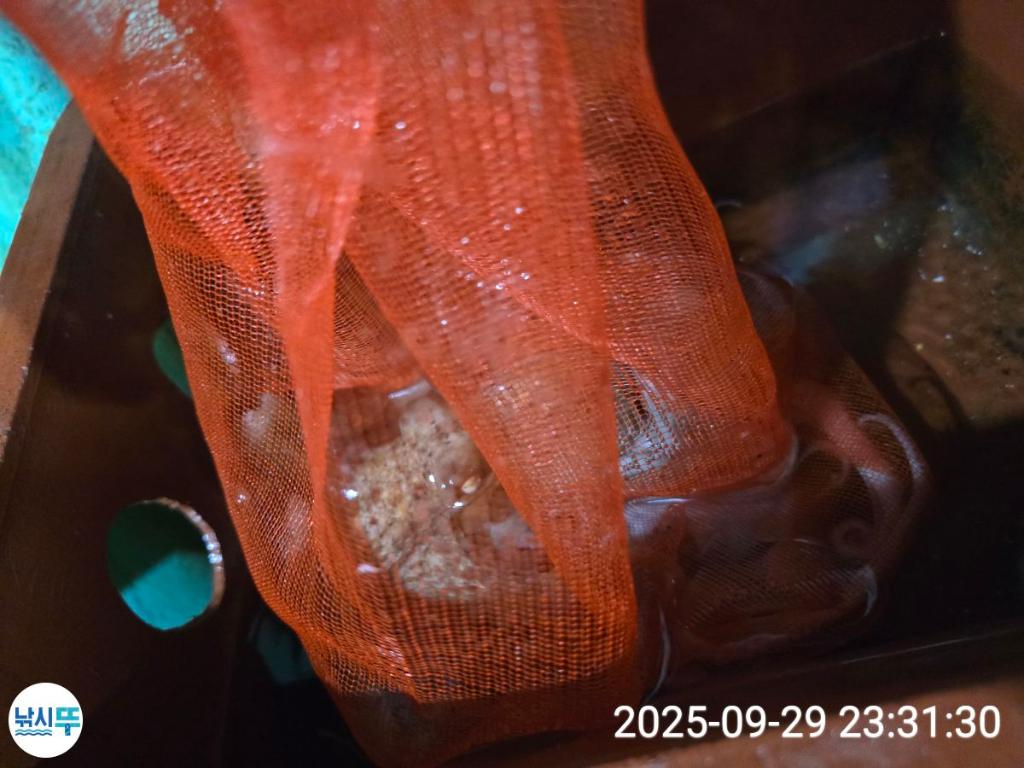 F2787172CP.jpg