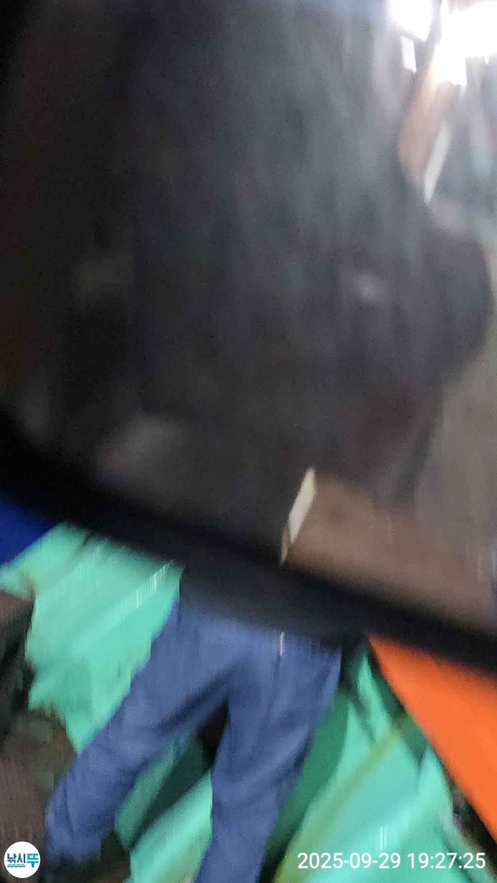 F27871790W.jpg