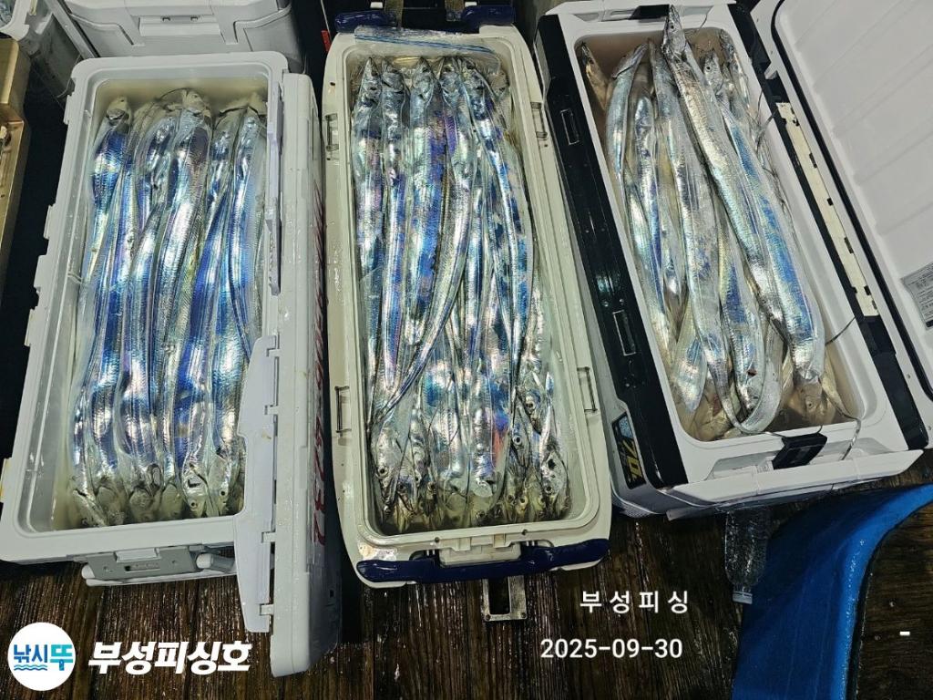 F2787204BY.jpg