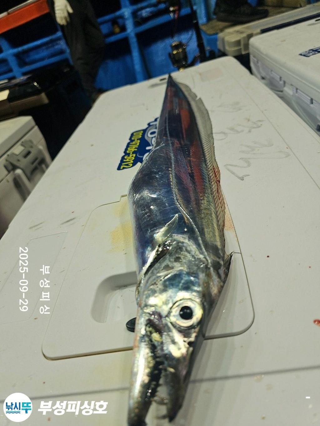 F2787213ZZ.jpg