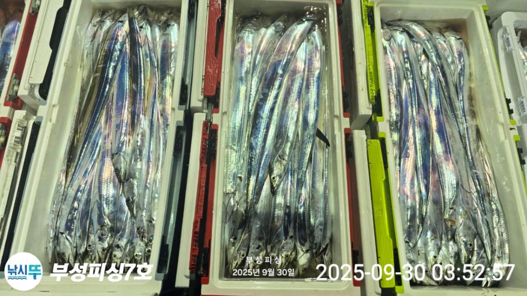 F2787238ZF.jpg