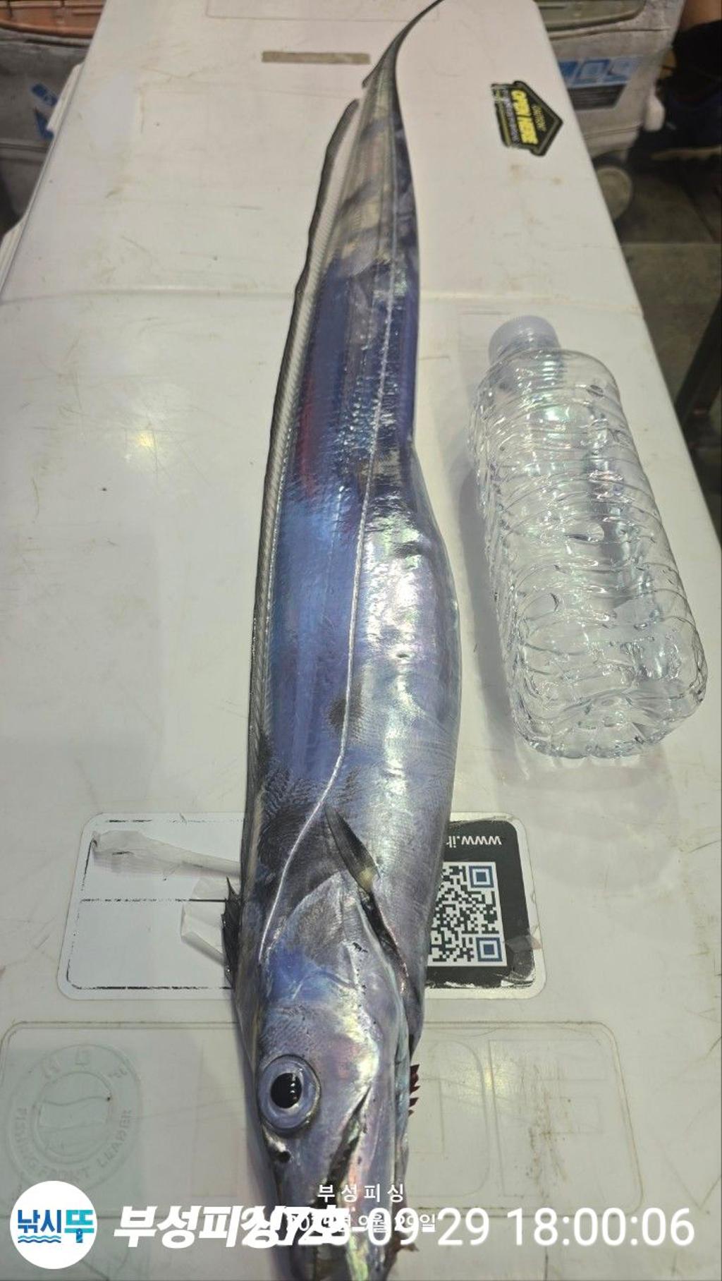 F2787249OR.jpg