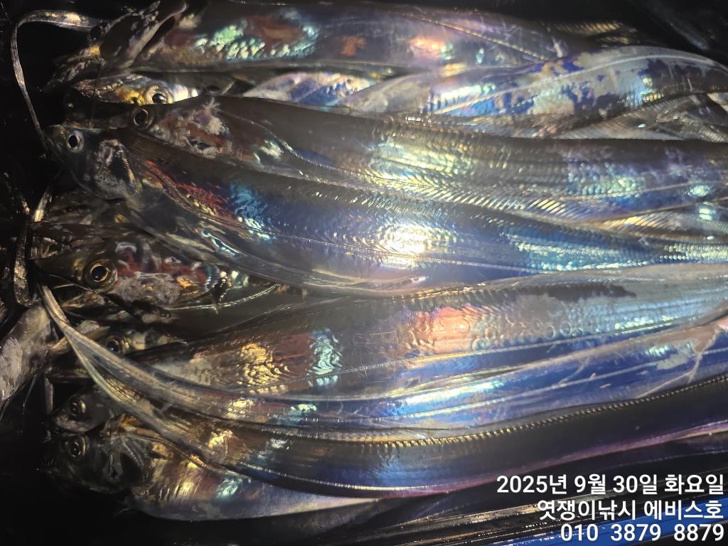 F2787316LX.jpg