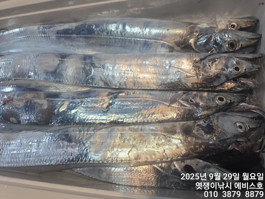 F2787342CC.jpg