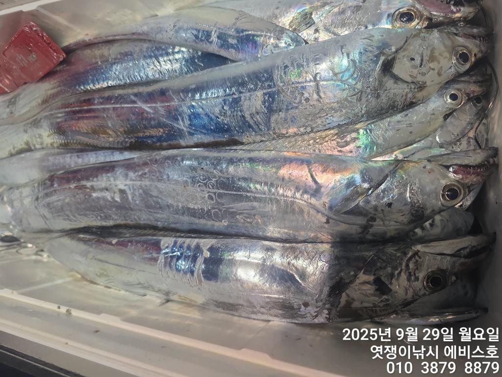 F2787343PV.jpg