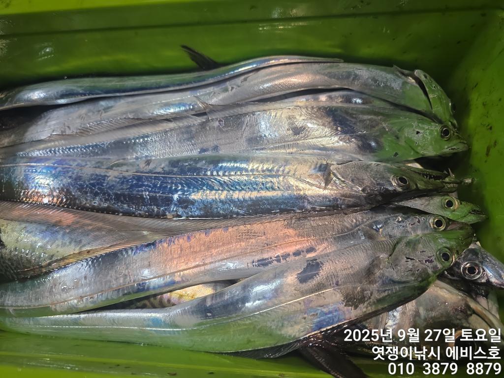 F2787373F6.jpg
