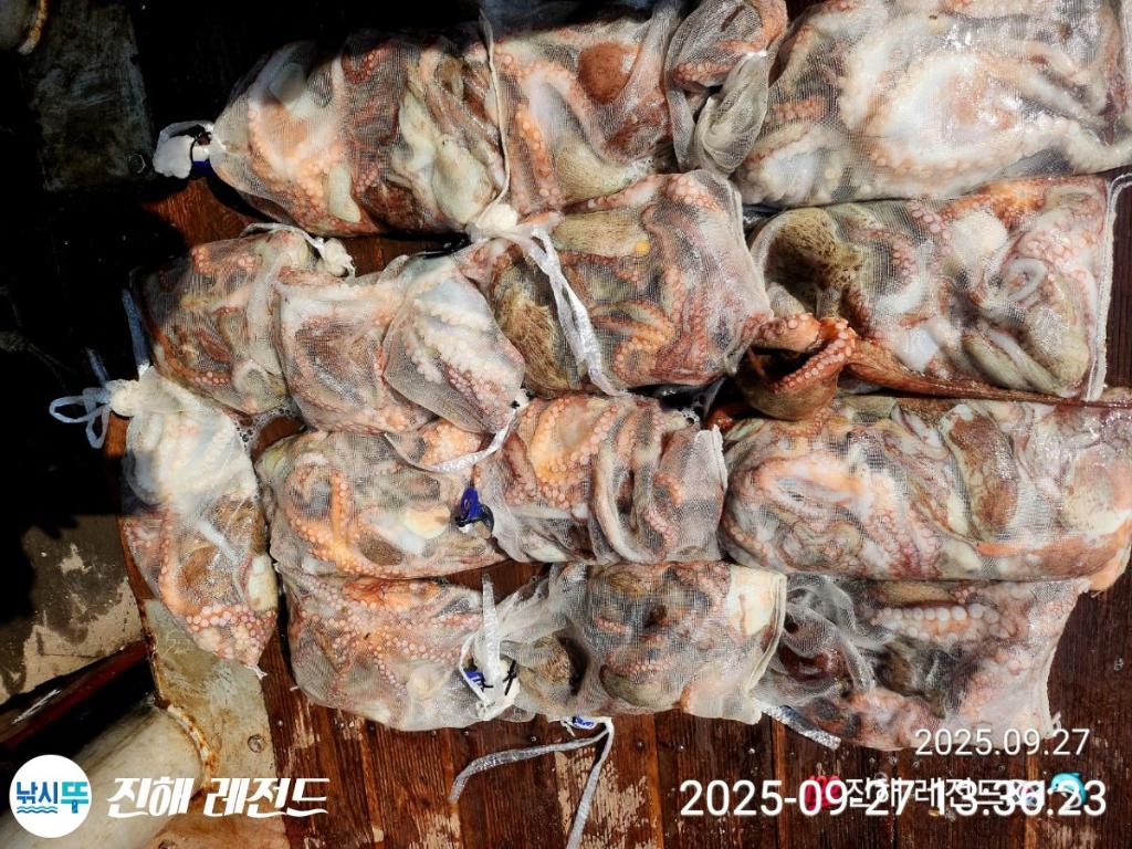 F27876989S.jpg