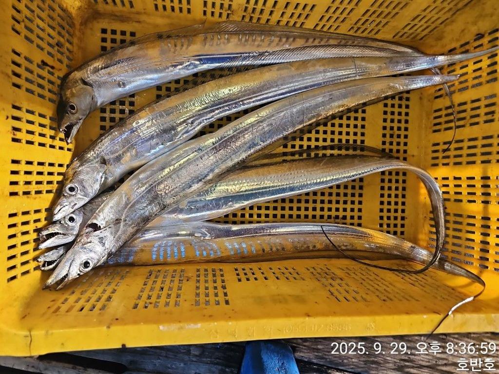 F2787747L9.jpg