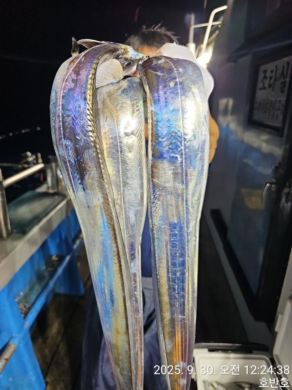 F2787760BG.jpg
