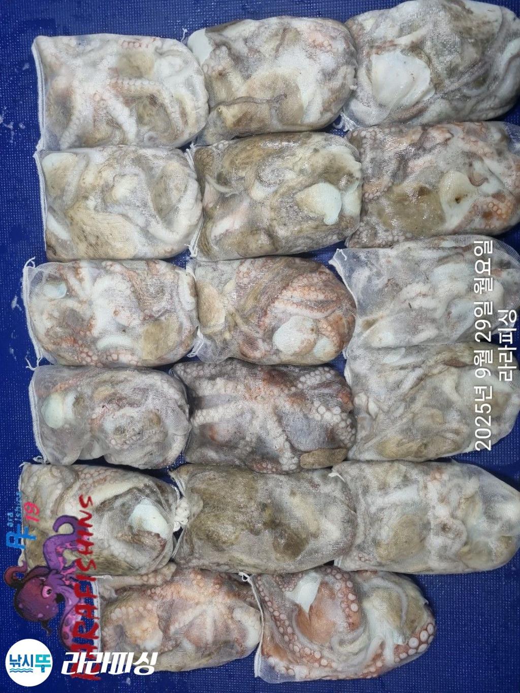 F2787854J0.jpg