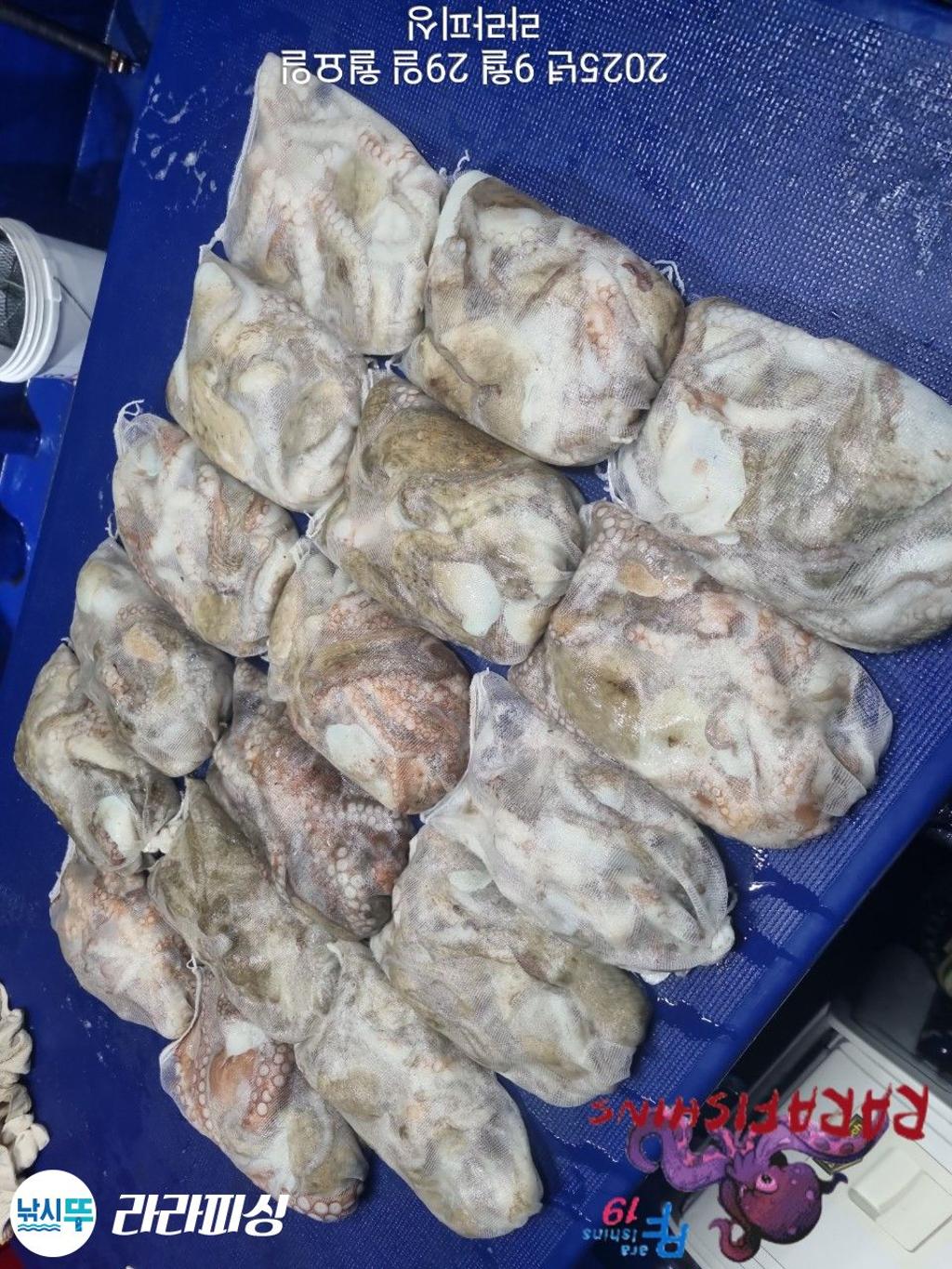 F2787856VN.jpg