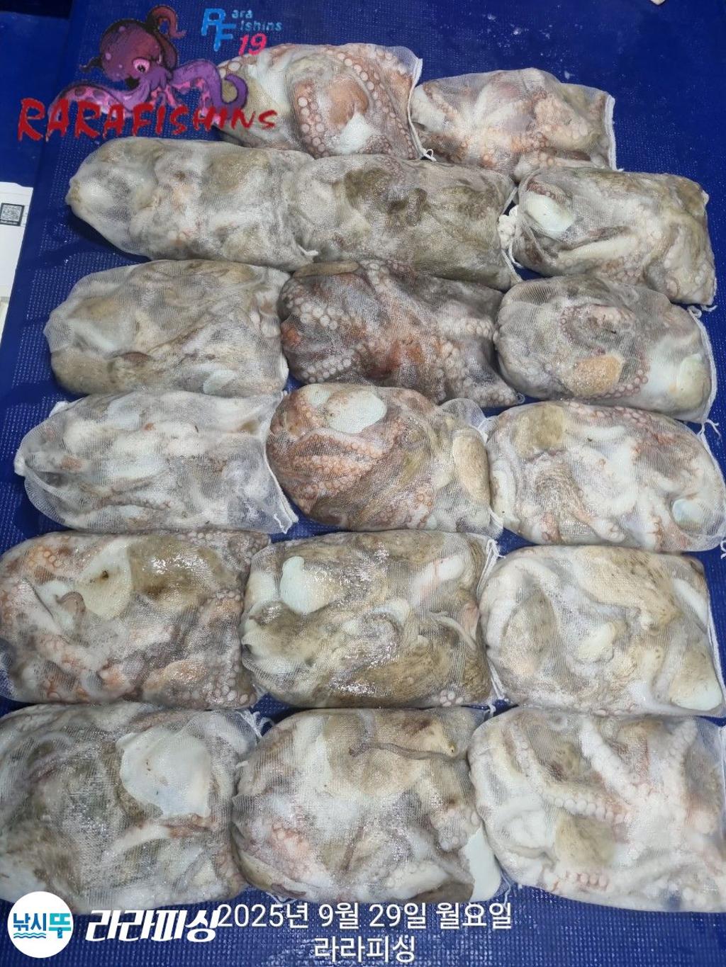 F2787860YI.jpg
